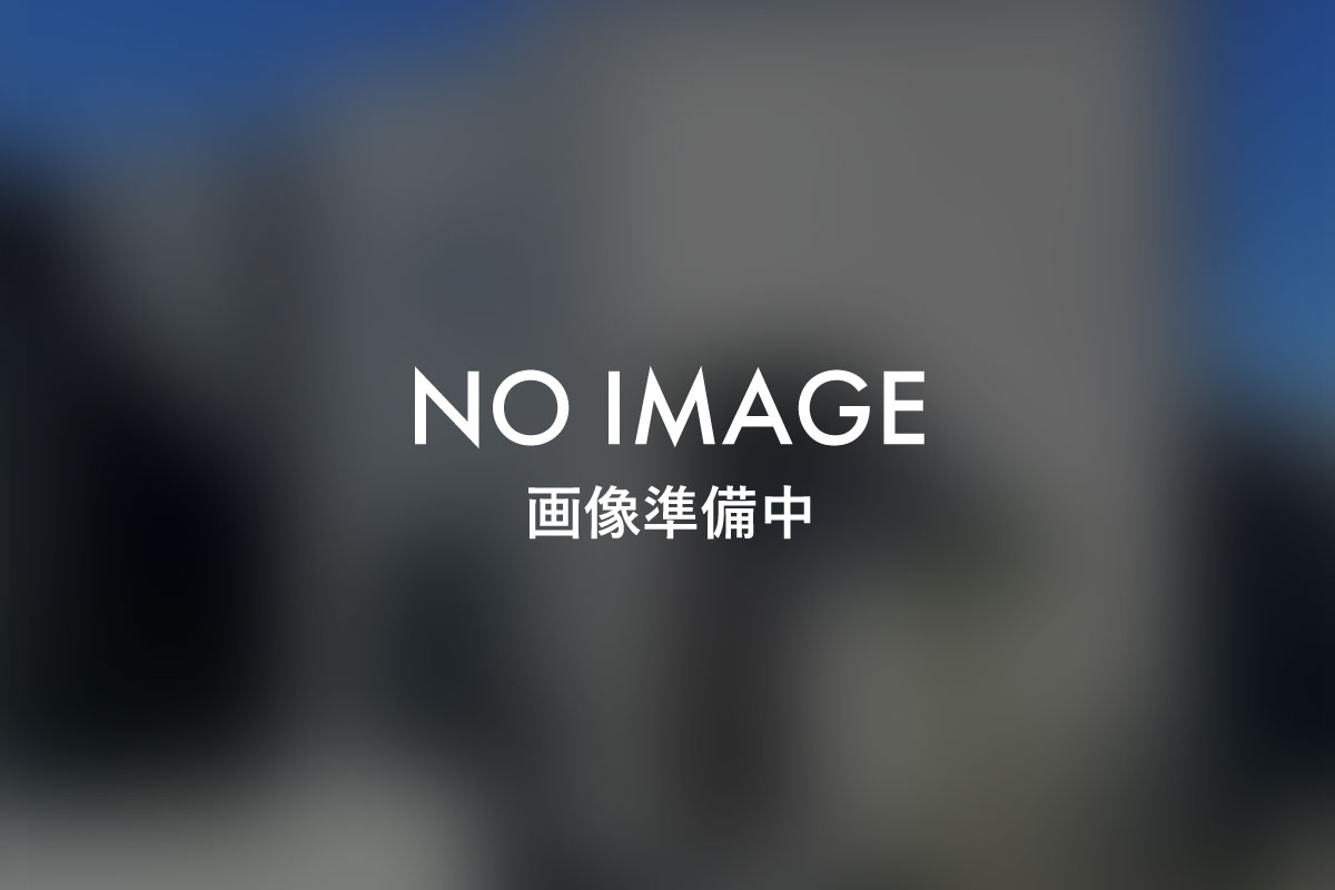 ?Z?? NO IMAGE