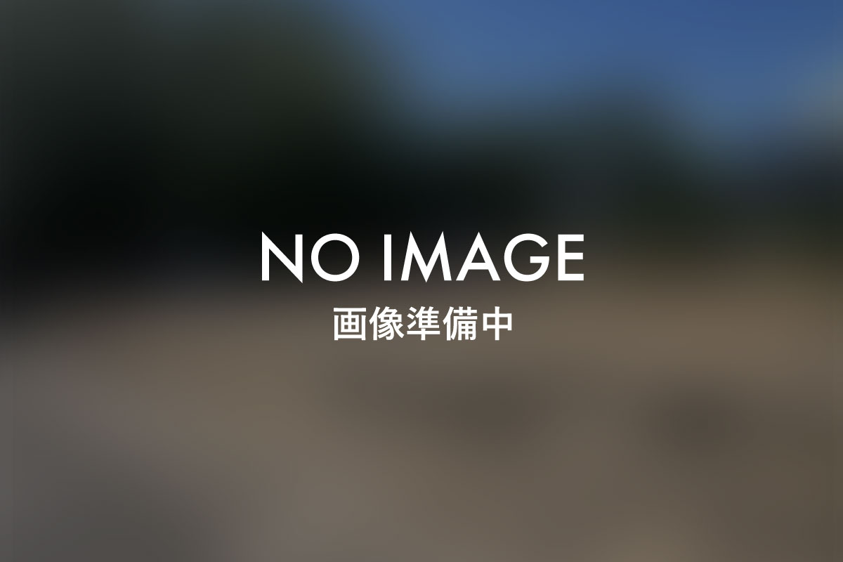 ?y?n NO IMAGE